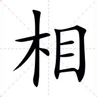 相意思|相（汉语文字）